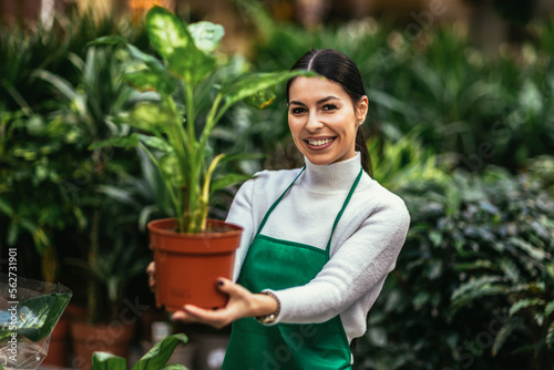 Portrait of beautiful florist working in flower shop while smiling and looking at a camera