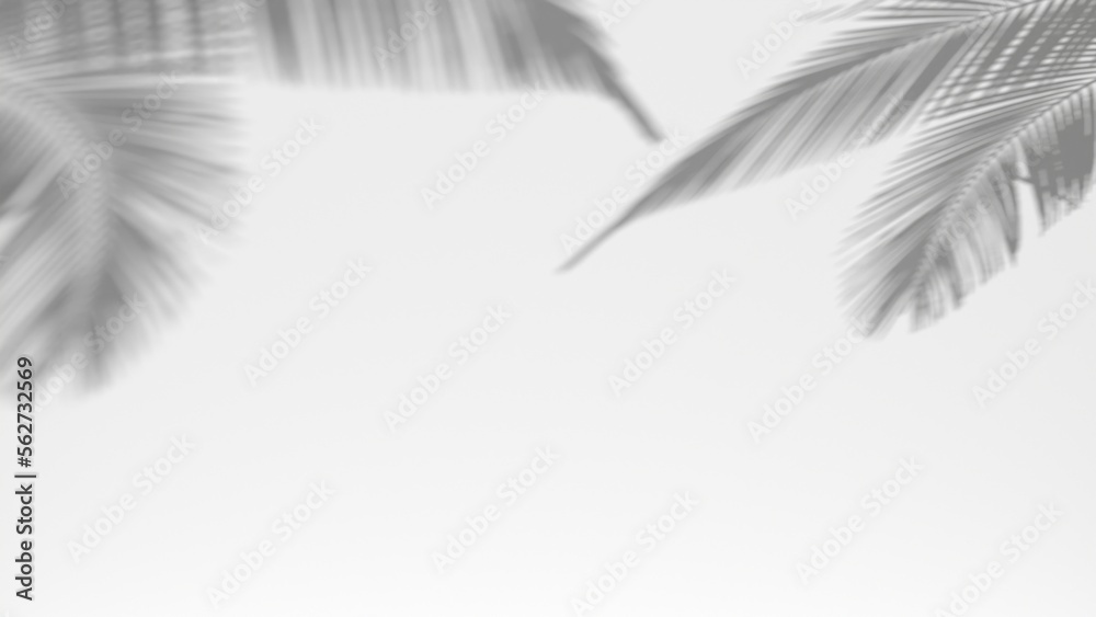 Naklejka premium 3D render background shadow overlay