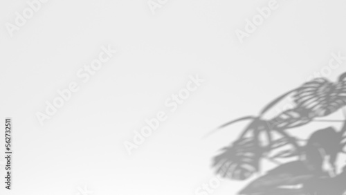 3D render background shadow overlay