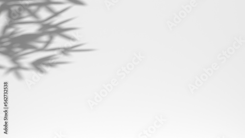 3D render background shadow overlay