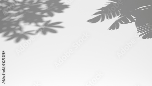 3D render background shadow overlay