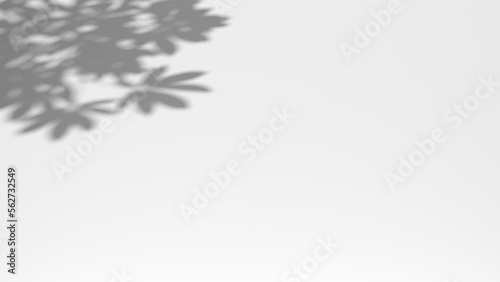 3D render background shadow overlay