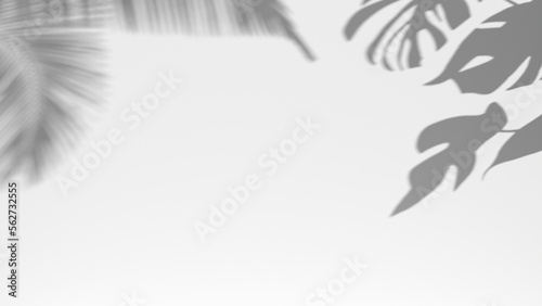 3D render background shadow overlay