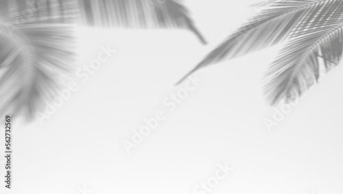 3D render background shadow overlay