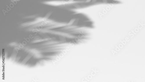 3D render background shadow overlay