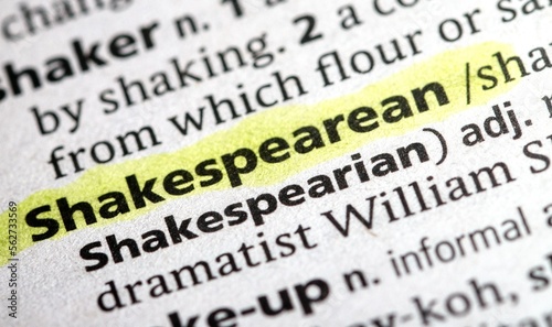 Tableau sur toile shakespearean