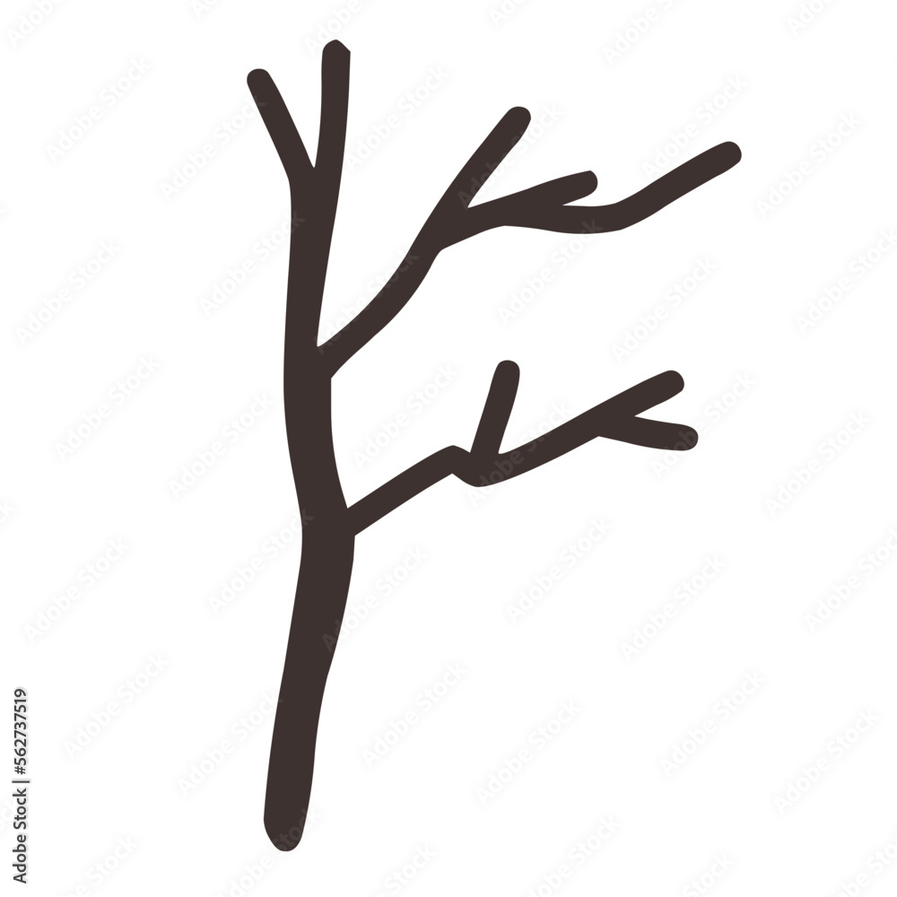 branch tree branch tree