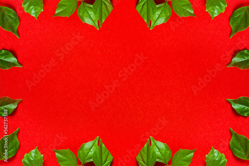 Young fresh green leaves on a red background. Bright background with place for text.