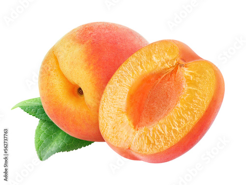 Obraz na plátně Isolated cut apricots