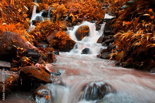 This is a beautiful photo of a stream of water flowing in a river in the village area.