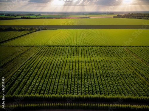 Aerial view of acres of farmland.