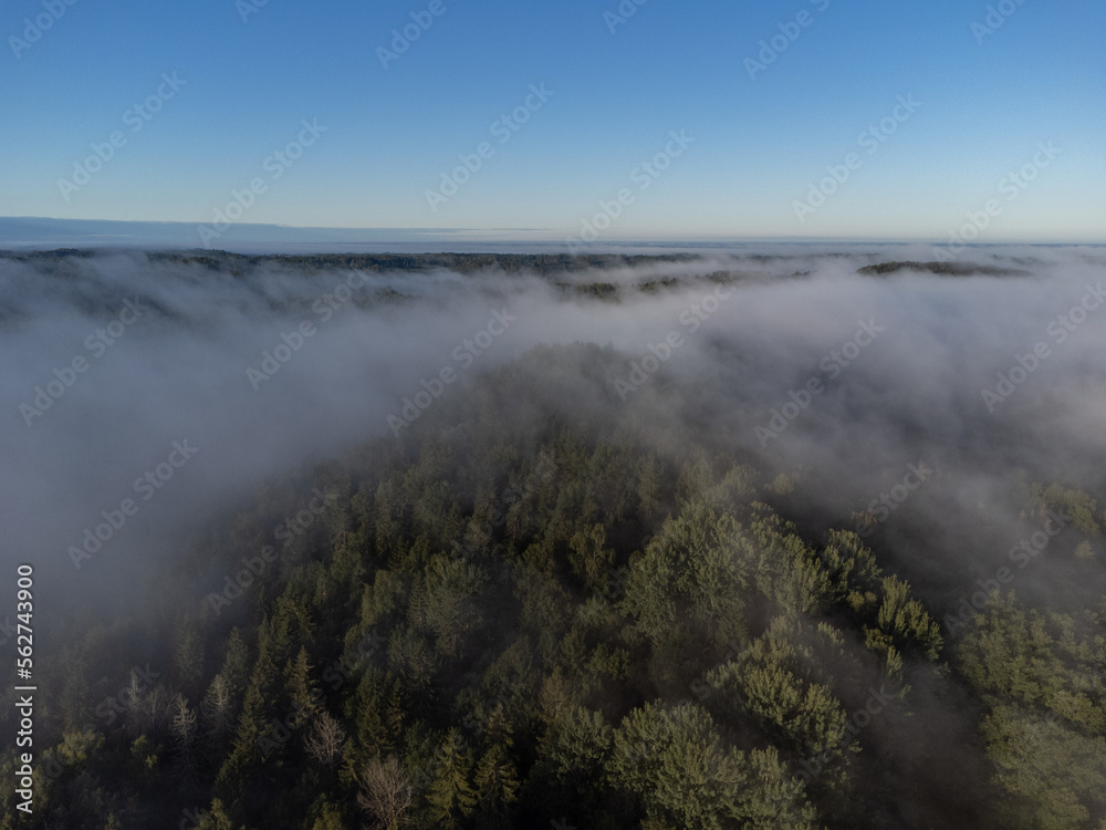 Moody summer morning and green tree tops covered with fog