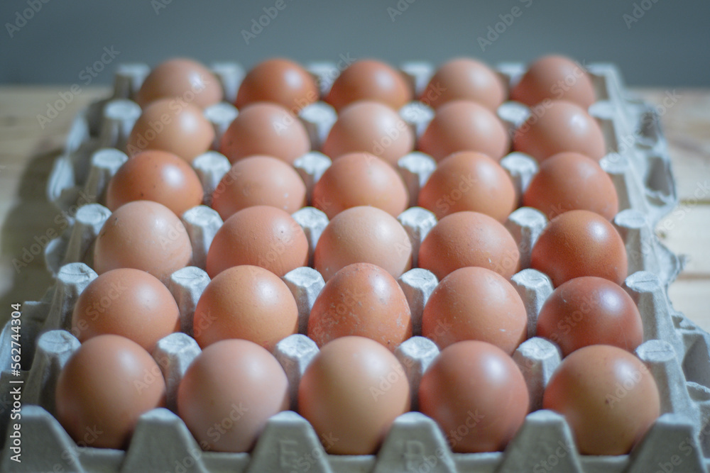 Fresh eggs. Consumer issue of the price of fresh chicken eggs is expensive in the market Fresh eggs. Consumer issue of the price of fresh chicken eggs is expensive in the market