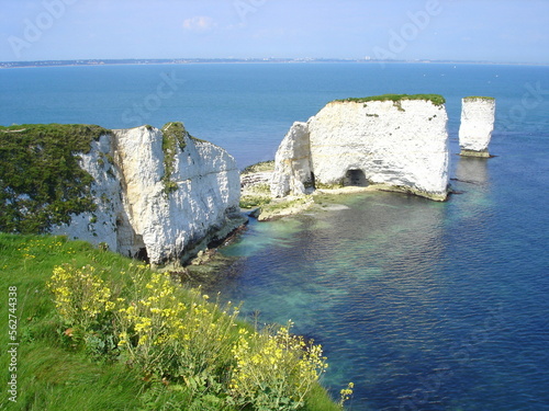 Old Harry Rocks