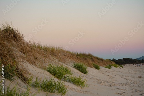 Fototapeta Naklejka Na Ścianę i Meble -  Atardecer sobre las dunas de la playa. El cielo se llena de colores y el ambiente se torna relajado, tranquilo.