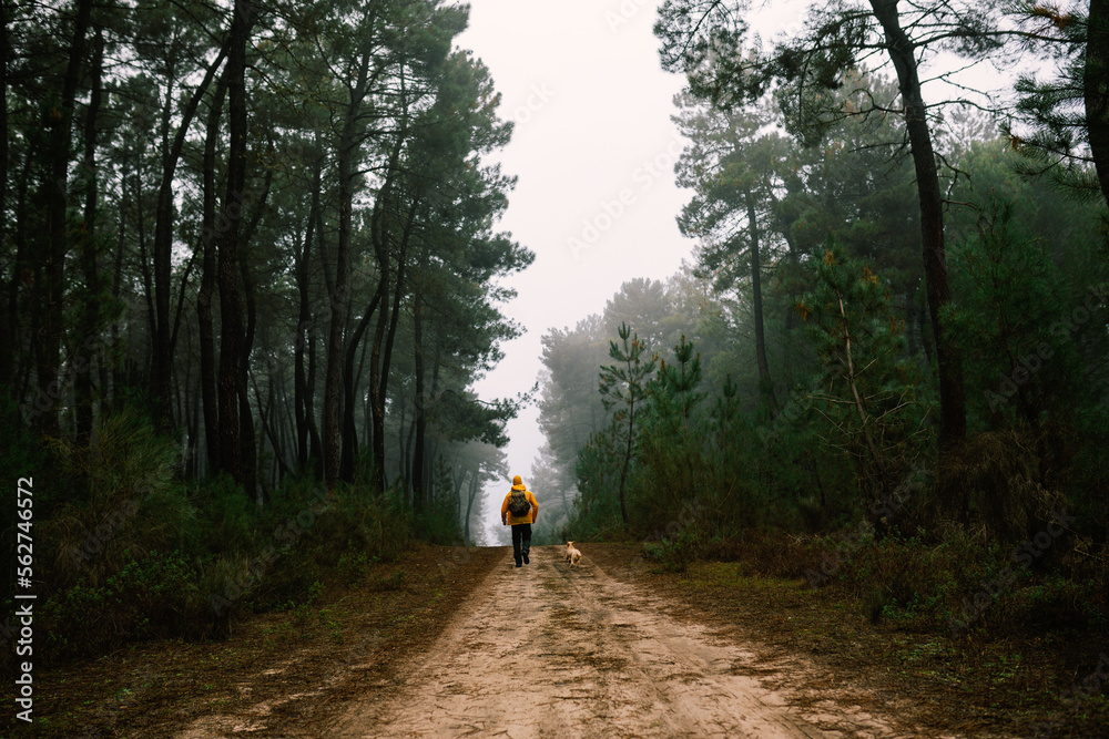 Tourist walking in green forest with dog in fall