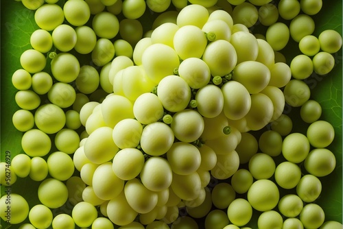  a bunch of grapes are shown in a green frame with a green background and a green border around them, with a green border around the edges of the grapes are white and green,., generative ai photo