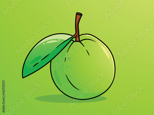 Guava vector portrait Illustration