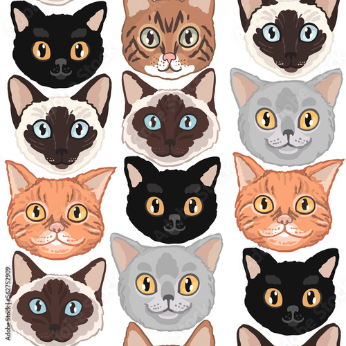 Cat characters portraits. Vector seamless pattern with pets theme 