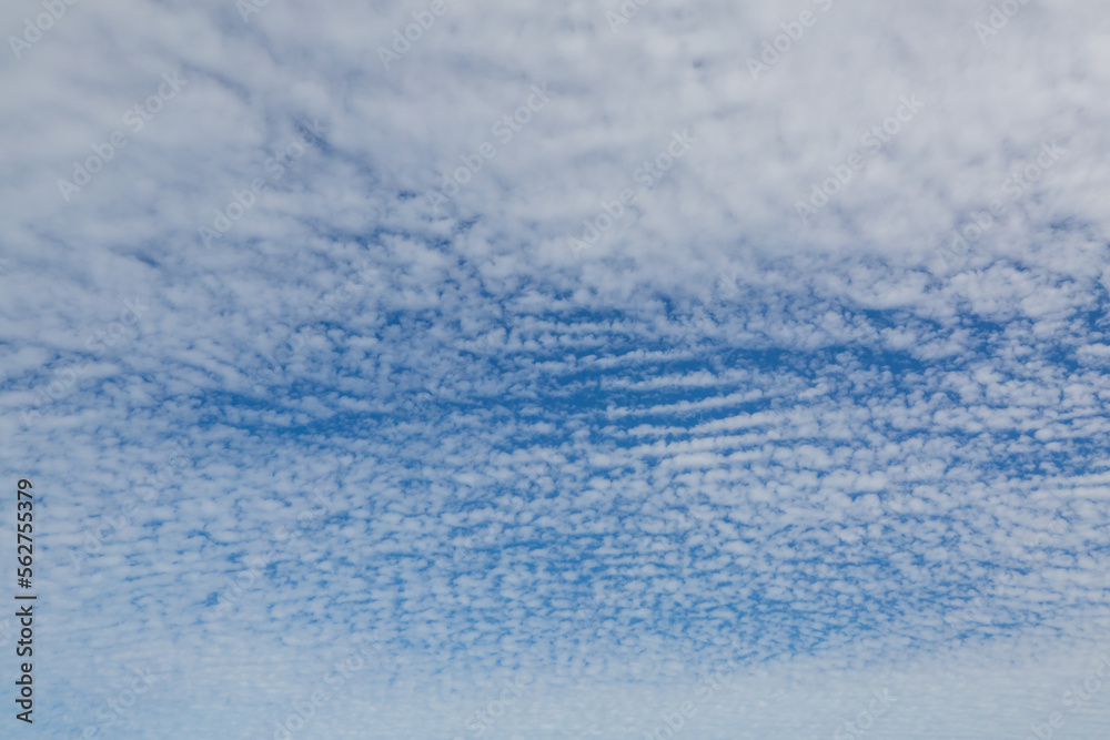 Obraz premium Blue sky