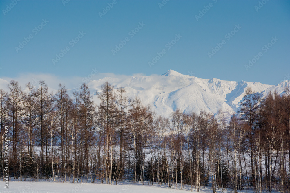 冬の晴れた日の雪山と冬木立 十勝岳連峰
冬の晴れた日の雪山と冬木立 十勝岳連峰