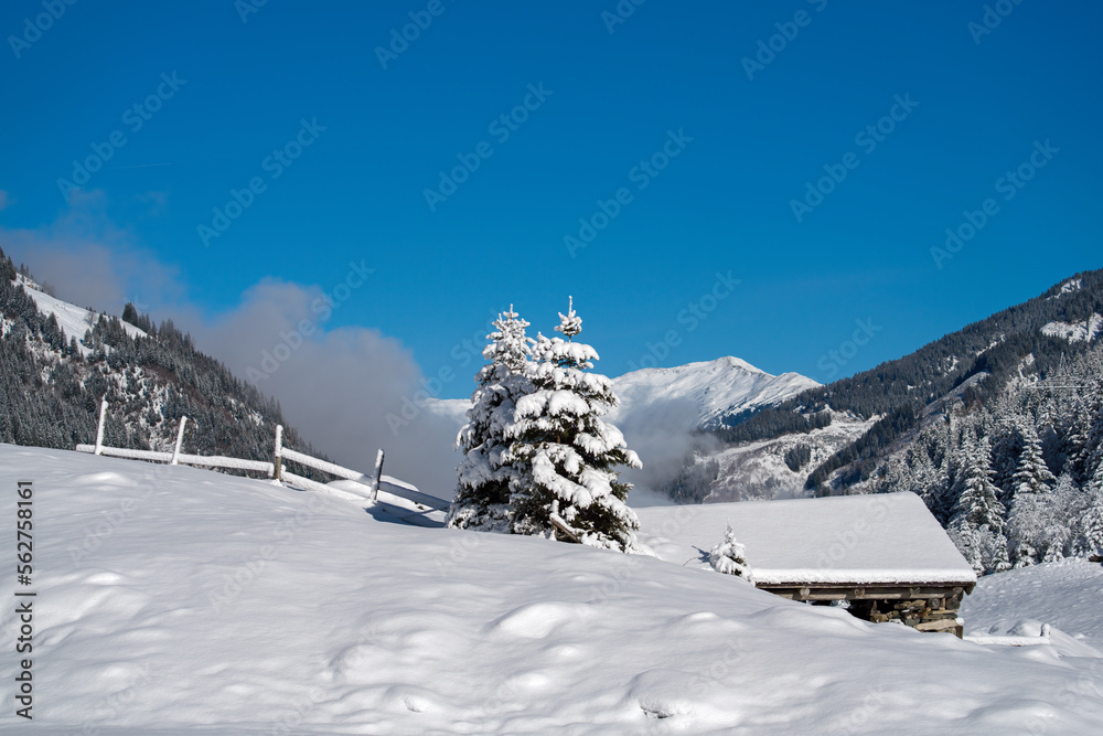  a wood hut and fence on a agriculture field at a sunny winter day with fresh snow on the mountains