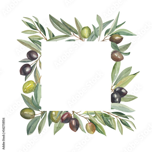 Watercolor square botanical frame with olive branches. Natural illustration with leaves for greeting postcard or invitation.