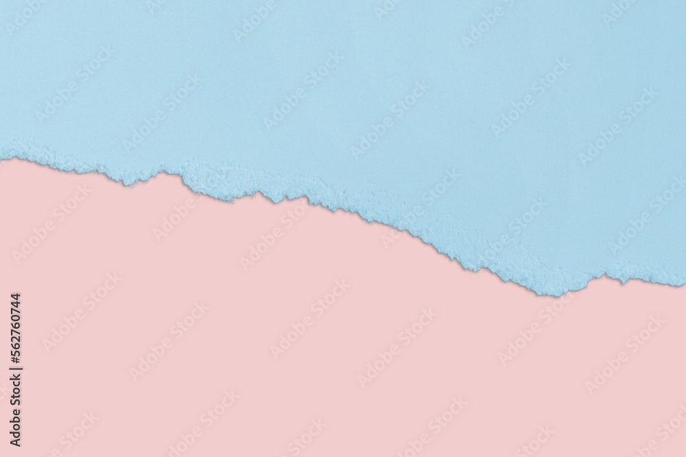 Obraz premium Torn paper in blue and pink with a shadow. Nude. isolated.