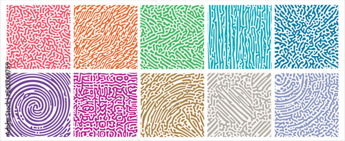 Reaction biology diffusion turing abstract pattern in 10 variant colours and styles. Vector illustration.  