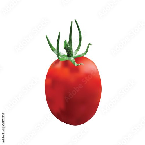Creative Realistic Tomato Vector Design. 