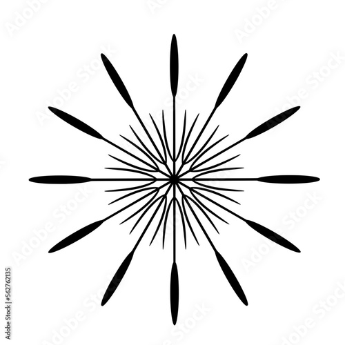 sternsörmige figur mit zwölf strahlen
