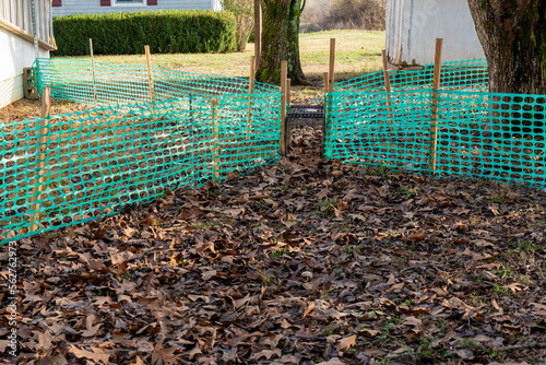 Wildlife control double door cage trap set for an armadillo removal, animal damage control for critter trapping and relocation from a residential yard in Southern Tennessee.