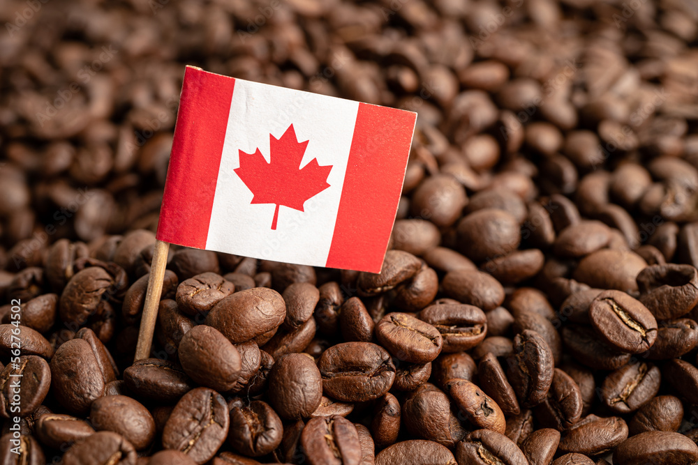 Canada flag on coffee bean import export trade online commerce