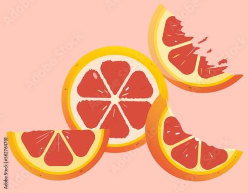 Set of juicy grapefruit slices. Citrus fruit on delicate pink background. Vector illustration, isolated