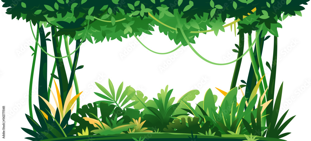 Wild jungle forest with trees, bushes and lianas on white background, decorative template composition of jungle plants, dense vegetation of the jungle, topical forest plants - obrazy, fototapety, plakaty 