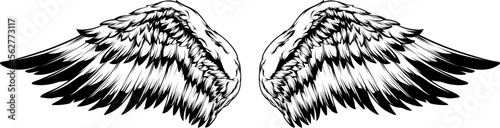 Bird wings vector illustration tattoo style. Hand drawn design element.