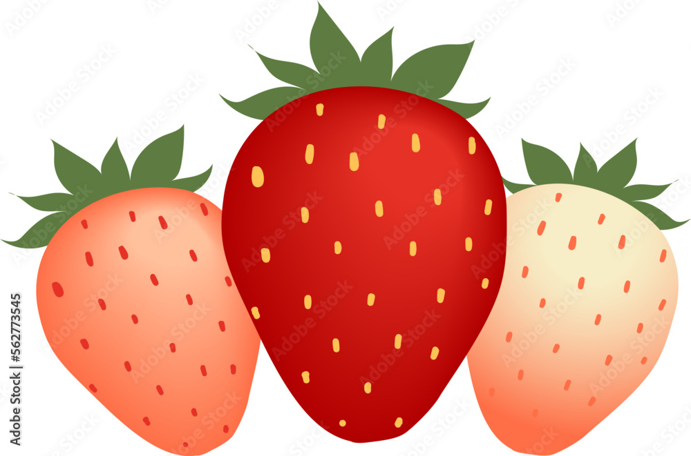 Strawberries Vector Strawberries Vector