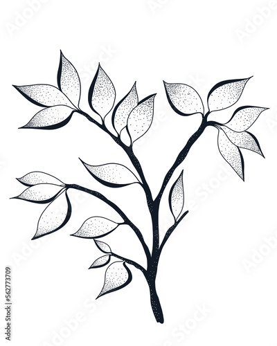 Tree branch with leaves