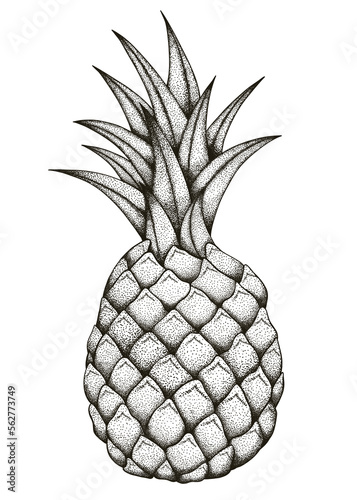 Pineapple