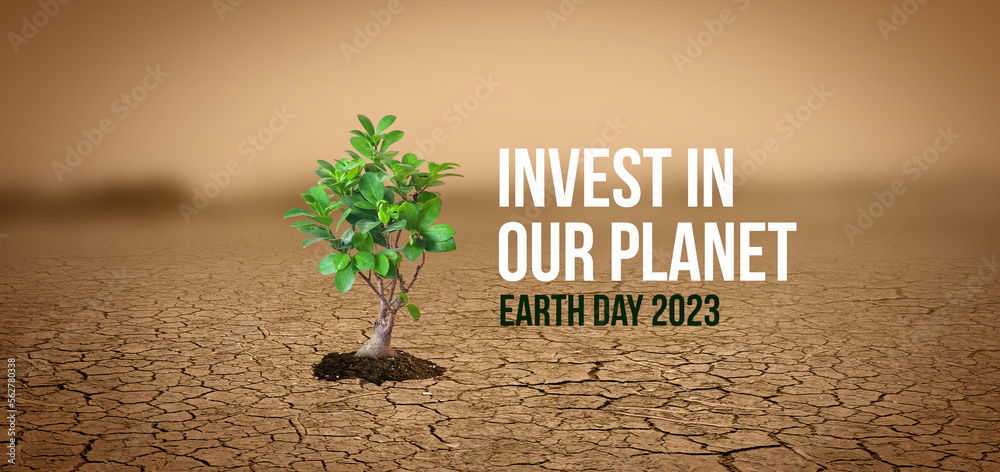 Plant In Dried Cracked Mud Concept Banner. Invest In Our Planet. Earth ...