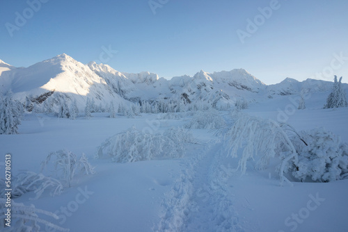 Winter landscape in the Tatra Mountains. © Jacek Jacobi