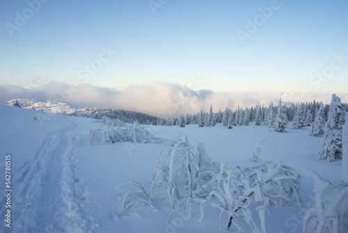 Winter landscape in the Tatra Mountains.