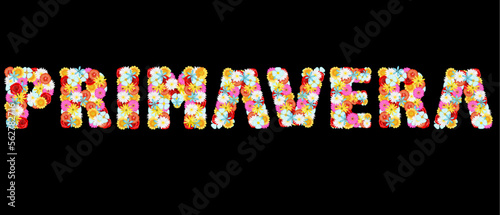 La palabra primavera formada por múltiples flores coloridas escrita en idioma español y fondo transparente photo