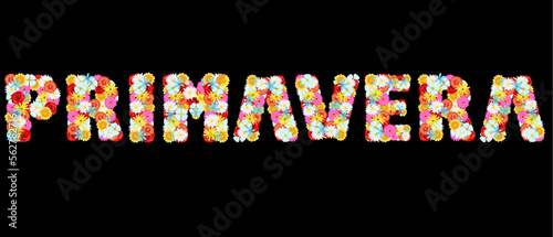 La palabra primavera formada por múltiples flores coloridas escrita en idioma español y fondo transparente
