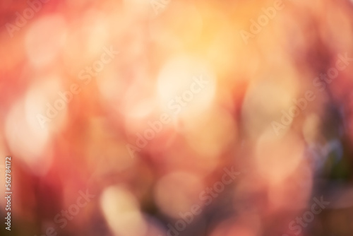 Defocus light red brown orange. Blurred background of autumn colors. Material for designers. © Lesia