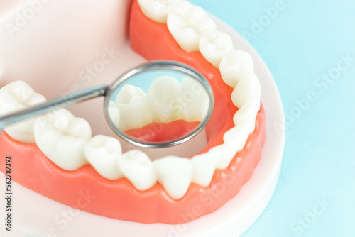 Dentistry conceptual photo. Close-up individual tooth tray Orthodontic dental theme. Dentistry conceptual photo. Prosthetic dentistry. False teeth. Mock tooth or tooth model.