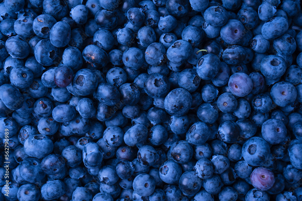 Fresh blueberry background. Texture blueberry berries close up. Fresh blueberry background. Texture blueberry berries close up.