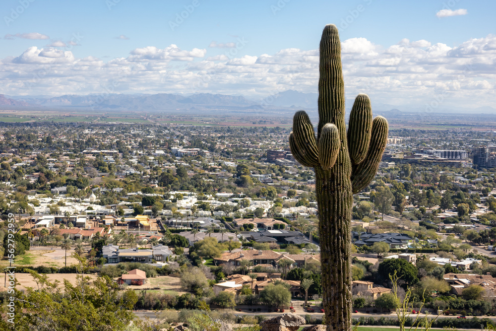Suguaro cactus on the right phoenix city aerial view desert city in the valley Suguaro cactus on the right phoenix city aerial view desert city in the valley