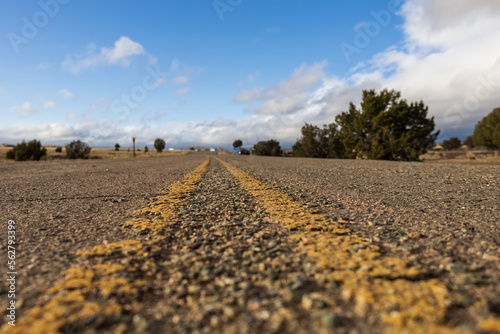 rural road in south west united states with cloudy sky juniper trees shallow depth, field photo