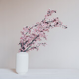 Fresh branches of blooming spring flowers in vase on white background. Copy space for text. Minimalistic floral still life.